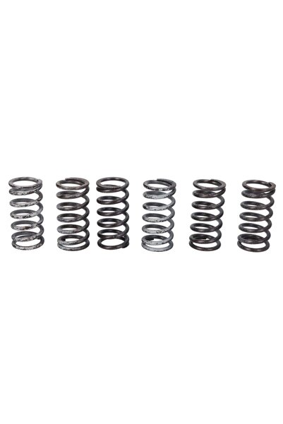 TRW Set Arcuri Ambreiaj Mv Agusta Brutale 675/800 2012-2019 MV AGUSTA Brutale