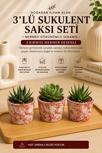 3’lü Kırmızı Mermer Desenli Seramik Sukulent Saksı Seti (7 x 6 cm)