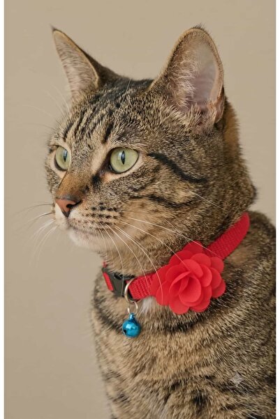 Tül Katmanlı Çiçek Aksesuarlı Zilli Kedi Tasması