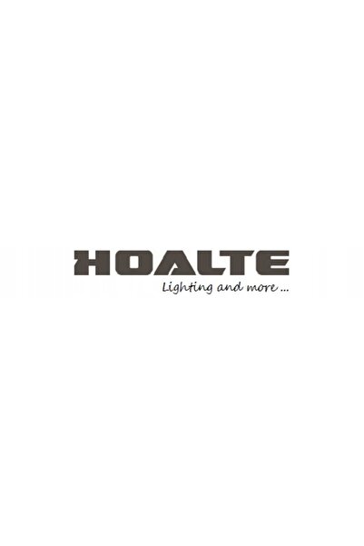 NO BRAND Hoalte White Performance +100% D2S 35 W 1 buc.