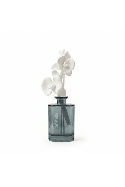 AKDC Finmanlife Reed Diffuser 150 ml – Return to Nature