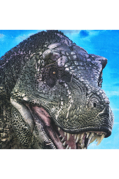 NO BRAND Lenjerie de pat pentru copii, bumbac, 160x200, Trex Dinozaur 1