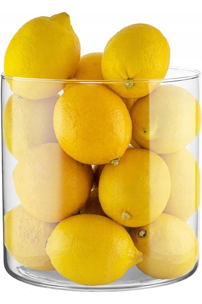 NO BRAND Vază decorativă, cilindrică, din sticlă, pentru flori, 19 cm.