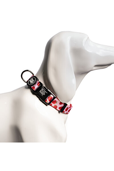 Bud & Billy Pink Berry Pop Dog Collar
