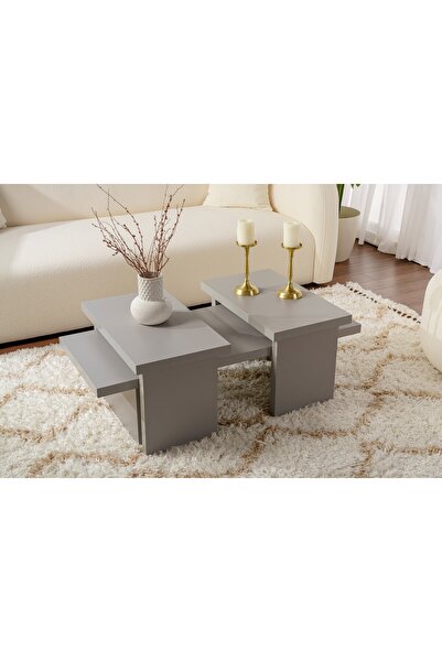 Rani Mobilya Rani Home Orta Sehpa Gri 110 Cm AB-5512