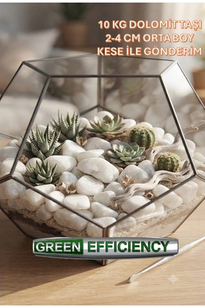 Green Efficiency Teraryum Bahçe Peyzaj ve Akvaryum Taşı | Beyaz Dolomit Taşı ...