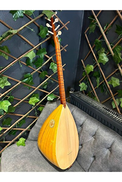 Sazhane Orta Kalite Ses Kafesli Kısa Dut Tekne Bağlama(Kılıf+Yedek Takım Tel+...
