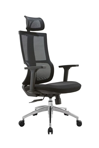 Fatio Modern Mesh High Back Office Chair with Adjustable Headrest and Armrest...