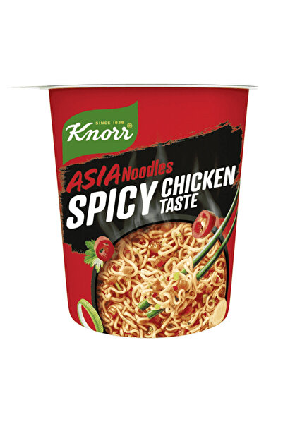 Knorr SNACK POT NOODLES 64gr. - (ΠΙΚΑΝΤΙΚΟ ΚΟΤΟΠΟΥΛΟ)
