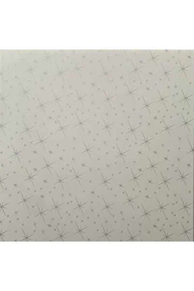UCR 60x60 PVC Plastik Asma Tavan Paneli Gydz – Suya Dayanıklı Dekoratif Tavan...