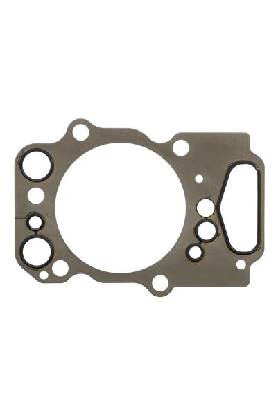 REINZ Garnitura de Chiuloasa 1mm Scania Citywide F G I G Ii Interlink Irizar ...