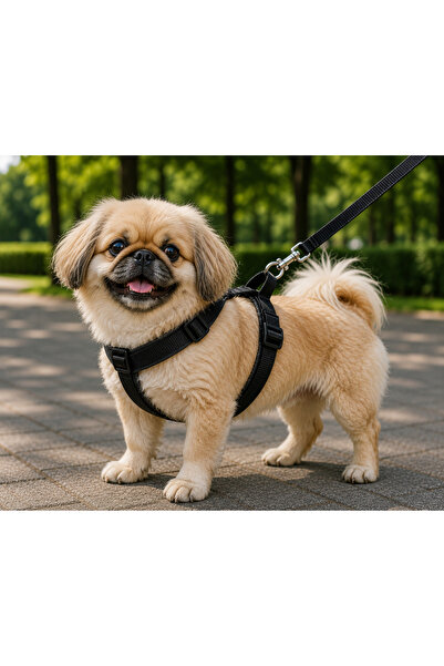 Generic Brand Woven Dog Chest Collar Set with Travel Strap 32*47-110 cm Black