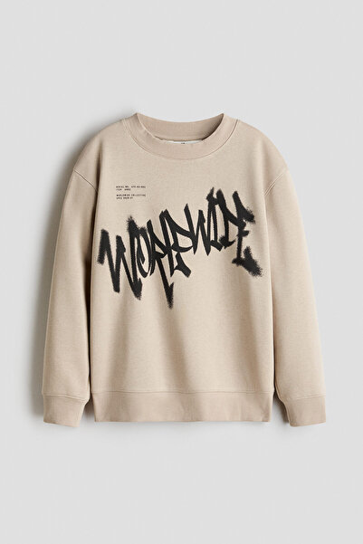 H&M Motif Detaylı ve İçi Tüylü Sweatshirt