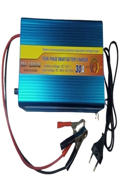 Generic Universal Battery Charger EU Plug 12V 30A