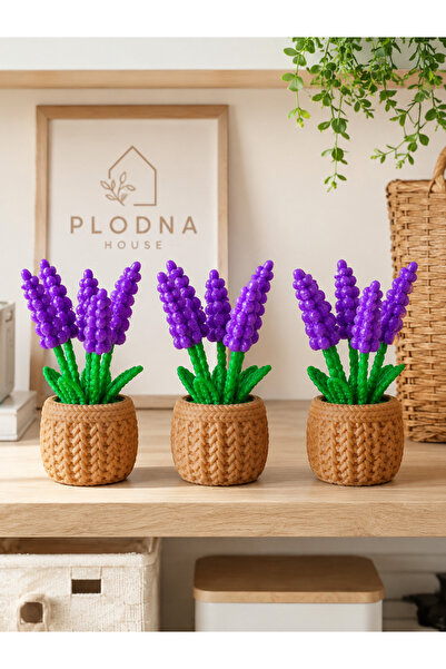 Plodna House 3-dijelni set umetničkih lavanda u saksiji – pleteni dekorativni...
