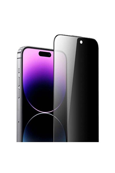 Green Lion 9H Steve Privacy Screen Protector for iPhone 15 Pro Max - Black