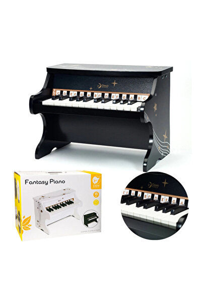Classic World Pian negru