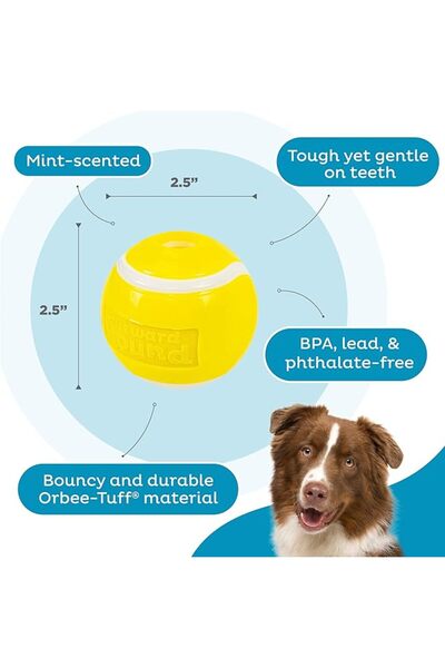 Outward Hound Orbee-Tuff Tennis Ball Treat-Dispensing Dog Chew Toy