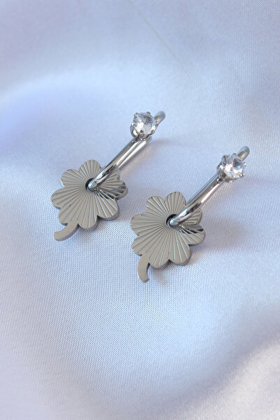 DMR Elegance 316L Steel Silver Color Zircon Stone Women's Migrant Earrings