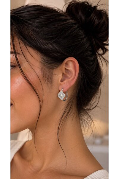 ANKA JEWELLRY Women's Steel Earrings with Four Leaf Motif and Zircon Stones |...