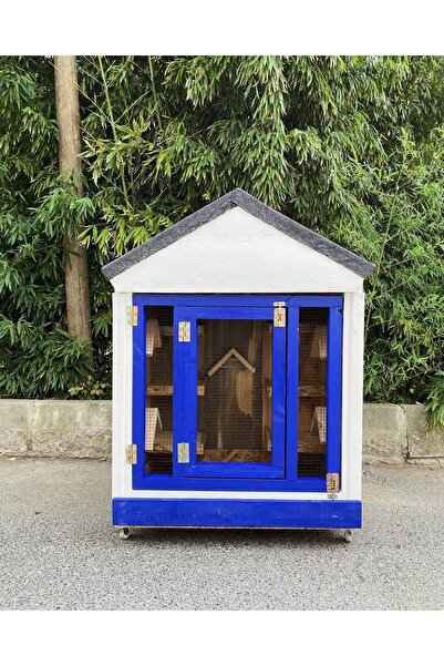Petshop güvercin kümesi