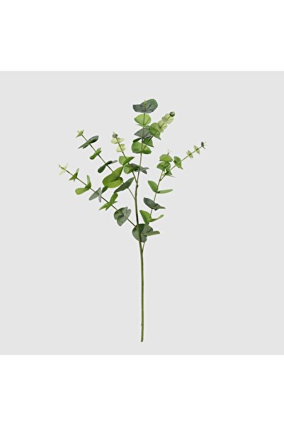 Generic New In Fernza Eucalyptus Leaves Single Stem Green H85Cm