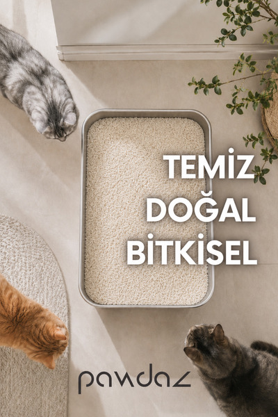 pawdaz Cassava Kedi Kumu 10 LT – Hızlı ve Güçlü Topaklanma