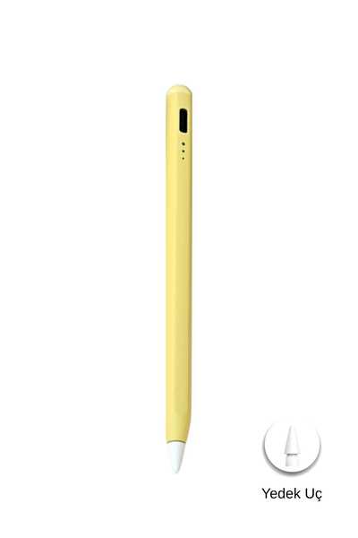 Fuchsia قلم تابلت نشط يعمل باللمس متوافق مع الجيل الحادي عشر من iPad، مزود بم...