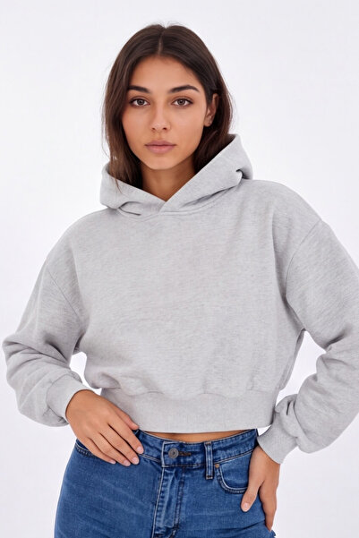 Albie Women's Gray Crop Hoodie Sweatshirt – Long Sleeve Basic Hooded Sweatshirt