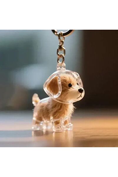Choice12 Style 01-1pcs 1-4pcs Clear Dog Hair Storage Keychain Cute Pendant Co...