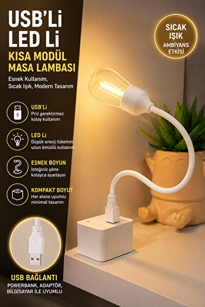 Ecuy Esnek USB'li LED Gece Lambası Çalışma Okuma Masa Lambası Powerbank Uyuml...