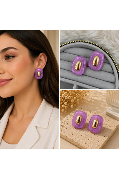 Bozhi Earrings Steel Business Woman Style