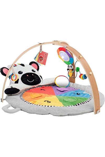 Baby Einstein Sensory Splash Water Mat