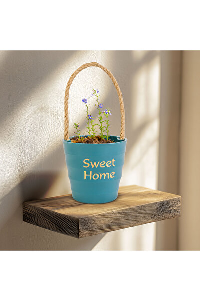 Alista Home Ghiveci decorativ suspendat de 9 cm cu șnur, 4 culori, pentru pla...