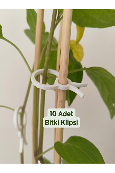 Kanem3D Bitki Sabitleme Klipsi Seti 10 Adet - Bitki Destek ve Yönlendirme Apa...