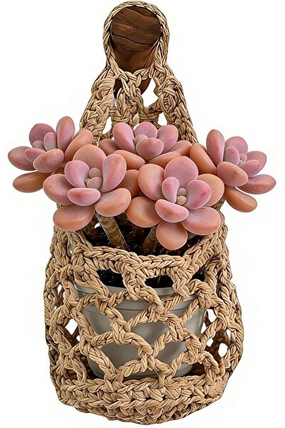 Generic Plant Hanger Indoor Boho Macrame Space Saving Storage | Wall Indoor F...