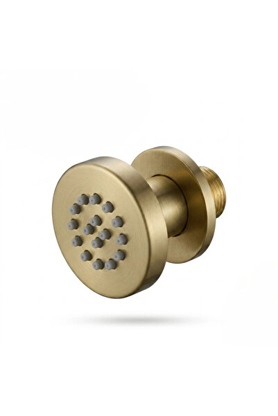 helemend Shur Jet Matte Gold Round Wall-Mounted Water Sprayer - Helmand