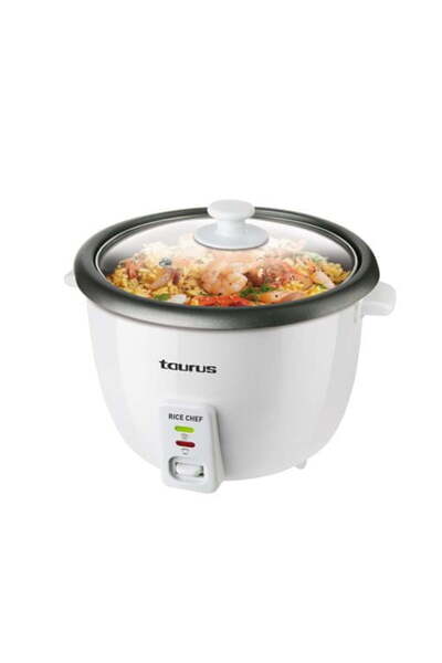 Taurus Orezieră cu aburi 700W