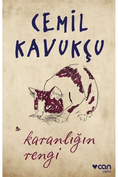 Vefa Yayınları Karanlığın Rengi