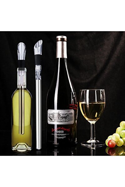 1001DİZAYN RĂCITOR DE VIN Set de răcire pentru vin 3 în 1 din oțel inoxidabil...