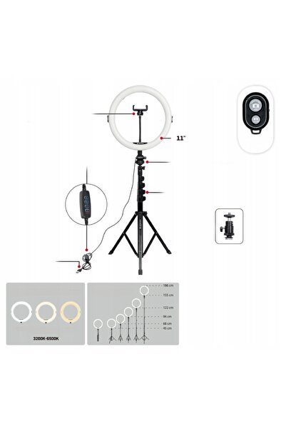 AgfaPhoto Lampă inelară LED cu trepied + Telecomandă pentru telefon/smartphone