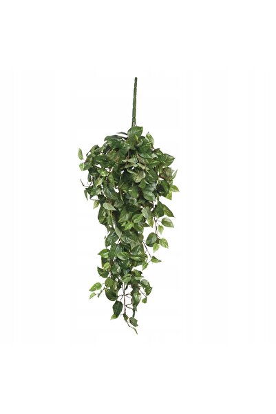 EDELMAN plantă cățărătoare artificială realistă Scindapsus, 80 cm, plantă ver...
