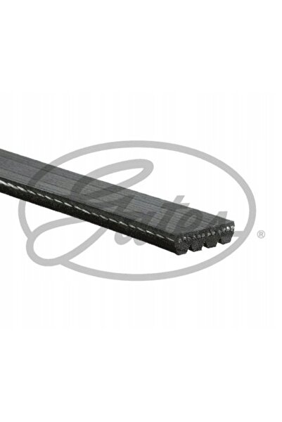 NO BRAND GATES CUREA POLI-DRĂJATĂ. 4PK1600