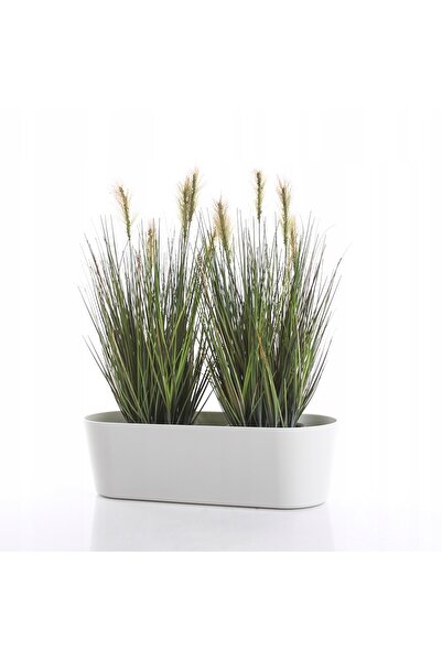 NO BRAND Ghiveci alungit mov Flori 36x14 husă pentru plante cactuși suculente