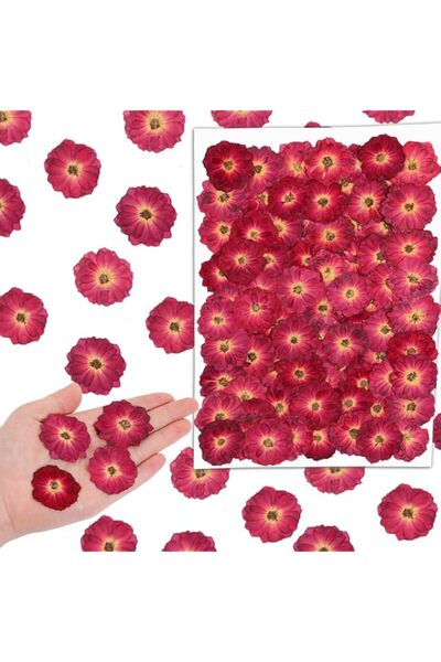 Generic Brand 100 Pcs Dried Pressed Flowers Small- Dried Red Rose Flowers, Sm...