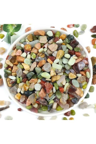 Generic THE WHITE SHOP 2LB Succulent and Cactus Colorful Pebbles, 3/8 Inch Pe...