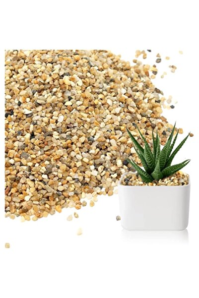 Generic Natural Sand Stone Pebbles, Decorative Gravel for Succulents and Cact...