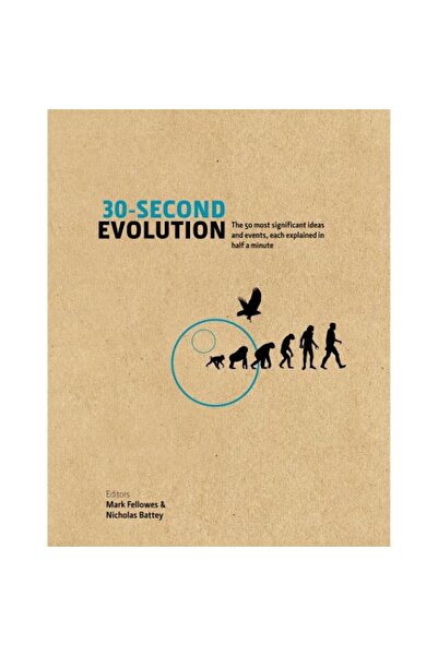 Icon 30-Second Evolution
