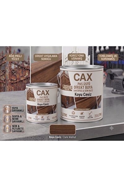 caxcolors CAX Pas Üstü Direkt Metal Boyası Antipas Dahil Koruyucu Parlak Dış ...