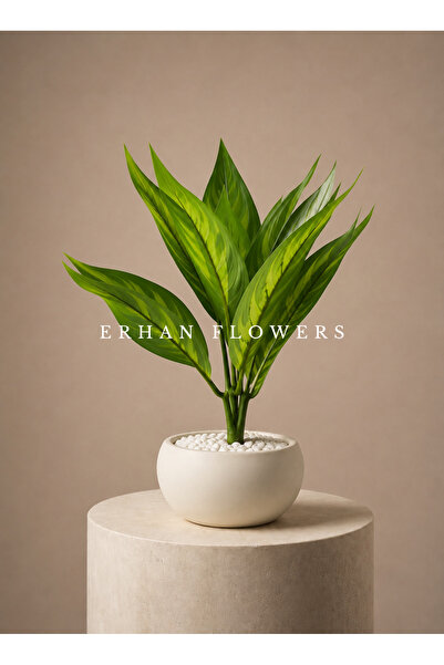 ERHAN FLOWERS YAPAY YEŞİL CROTON CALATHEA 48 CM - DEKORATİF VAZO İÇİ YAPRAK D...